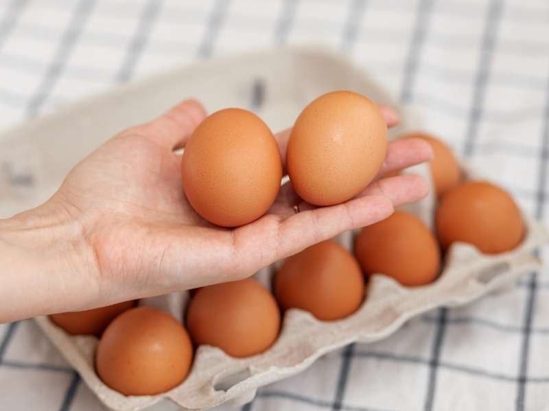 Eggs Bought at the Right Time