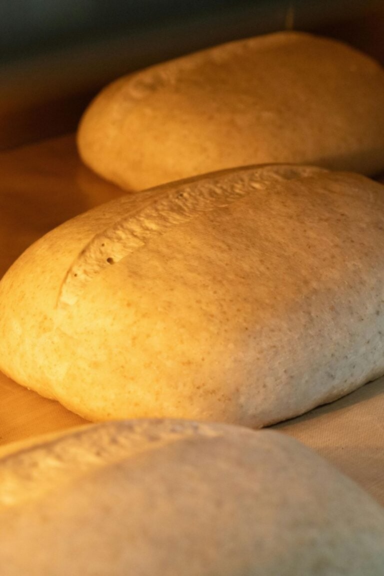 Why Didn’t My Bread Rise? 17 Common Reasons Explained