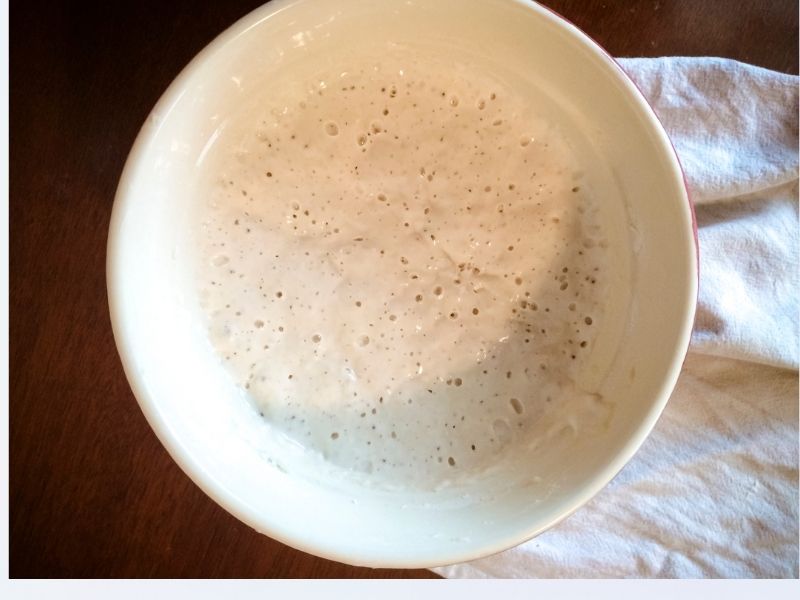 Why Didn’t My Bread Rise? 